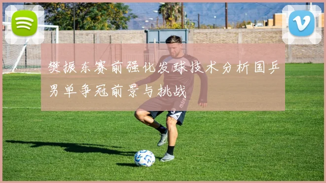 樊振东赛前强化发球技术分析国乒男单争冠前景与挑战